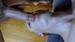 deepthroat