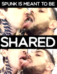 Spunk Share