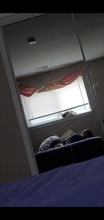 SnapChat210121.jpg