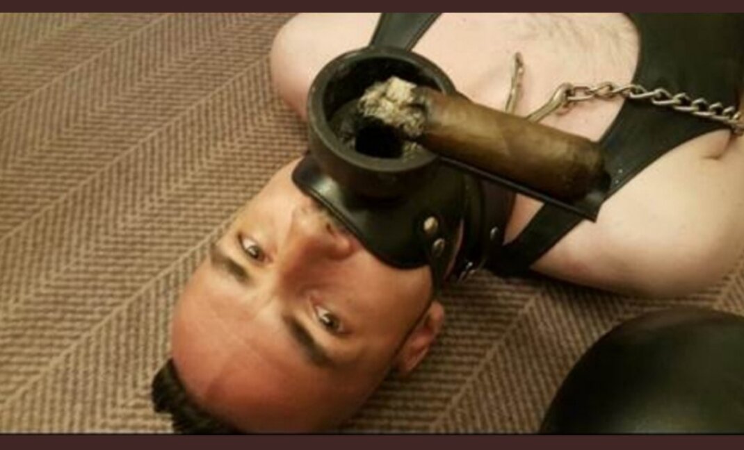 Ashtray PIG