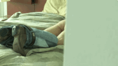 mating ritual