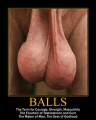 got'm?
