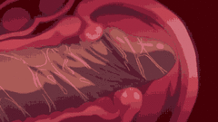 260EE8B7-0283-4579-B81E-EC77775D52AC.gif