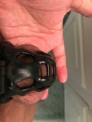 thumbnail.jpg