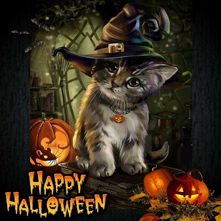 338883-Witch-Kitty-Happy-Halloween.jpg