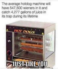 wiener maching.jpg