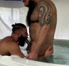 Hairy Bear Getting Sucked.jpg
