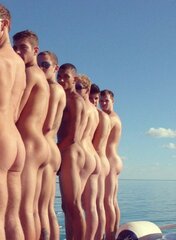 AssForBreeding.jpg