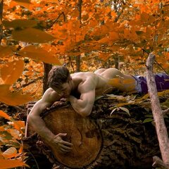 i love the autumn leaves!