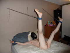 bdsmlr-249867-jkXWaP1wRd.jpg