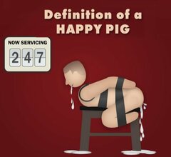 very happy pig