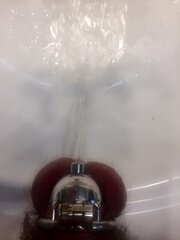 IMG_0845.jpg