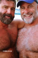 bear-art-daddy-bears-hapenis-400x600.webp