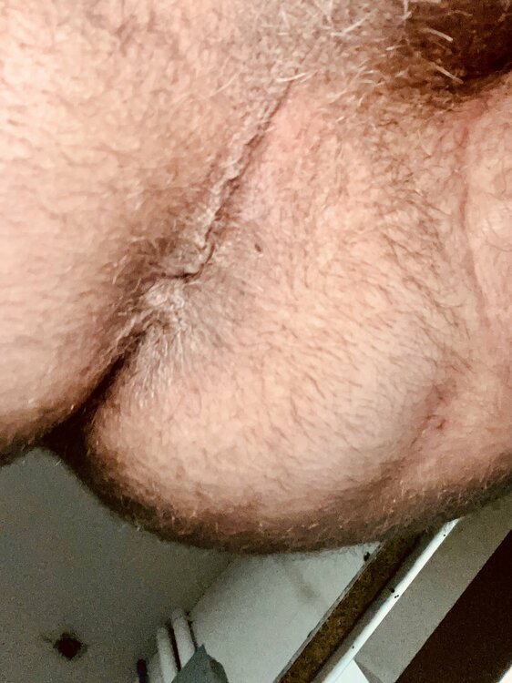 46A54121-D10D-46DB-AC26-C7C928A610E6.thumb.jpeg.357ed23994e86a1300ffdff00c8d42d1.jpeg
