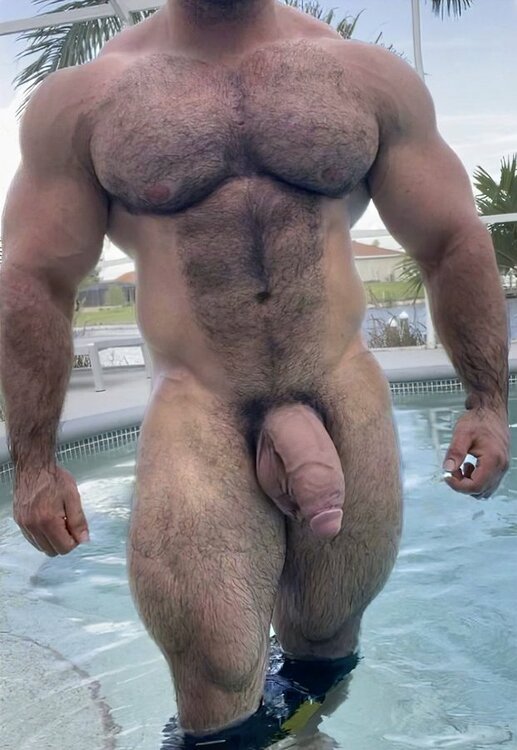 Daddy bull cock.jpg