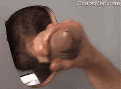 horse-hung.563.gif