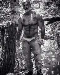 In the Woods 2.jpg