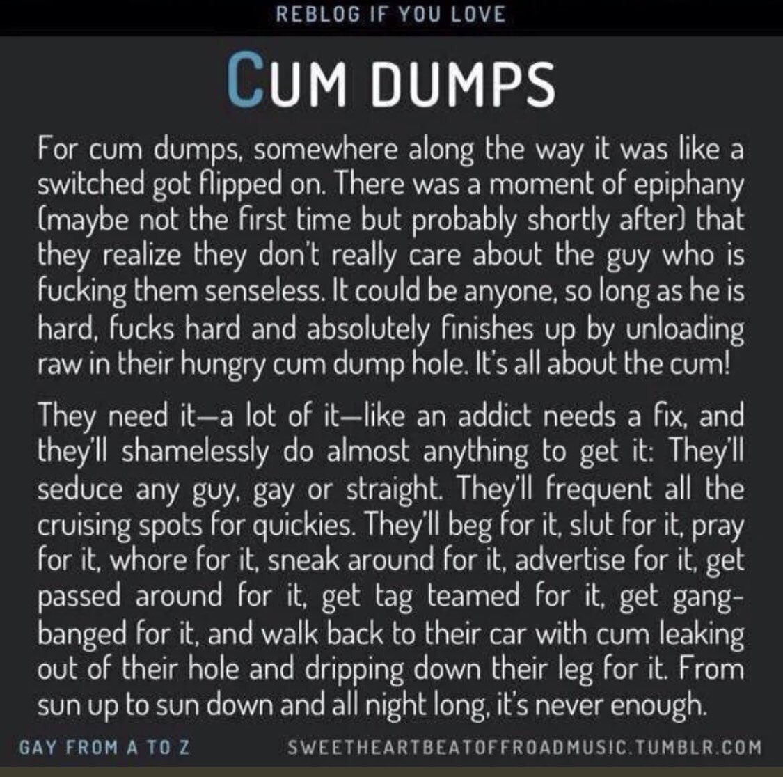 Gay cumdump stories