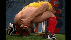 In the Goal.gif