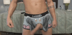 Elephant.gif