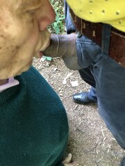 IMG_0905.JPG