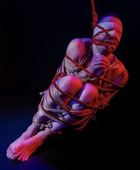 IMG_7723.png