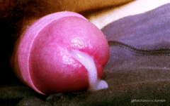 received_3361882900732304.gif
