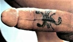 SCORPION!.jpeg