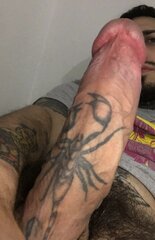 scorpion hairy.jpg