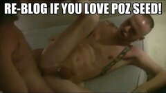 Poz Seed