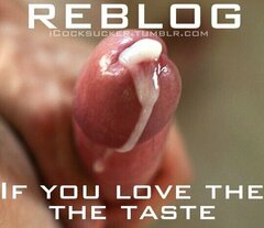Love the taste