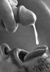 Taste