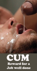 Cum Reward