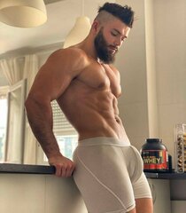 Model Bulge