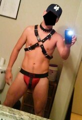 Jock and harnessed waiting for loads