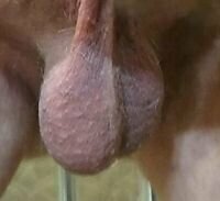 Balls.jpg