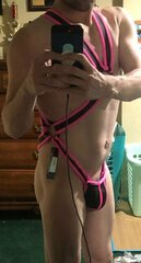 Harness