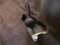 gloryhole regular