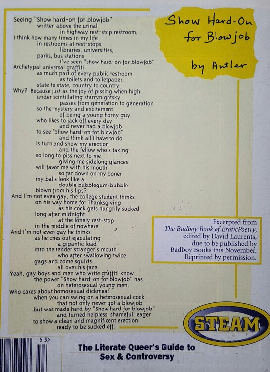 Steam vol. 3 issue 3 autumn 1995.jpg