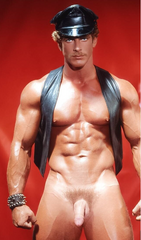 Buck Hayes aka Rex Morgan.png