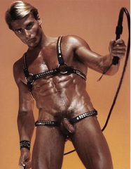 Francois Papillon hot cock ring.png