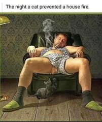 Cat House Fire.jpg