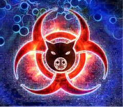 R18 - Biohazard pig.jpg