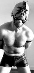 R51 - Pig.jpg