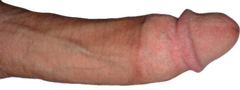 ItwasfungayHOMOSEXUAL3653.png