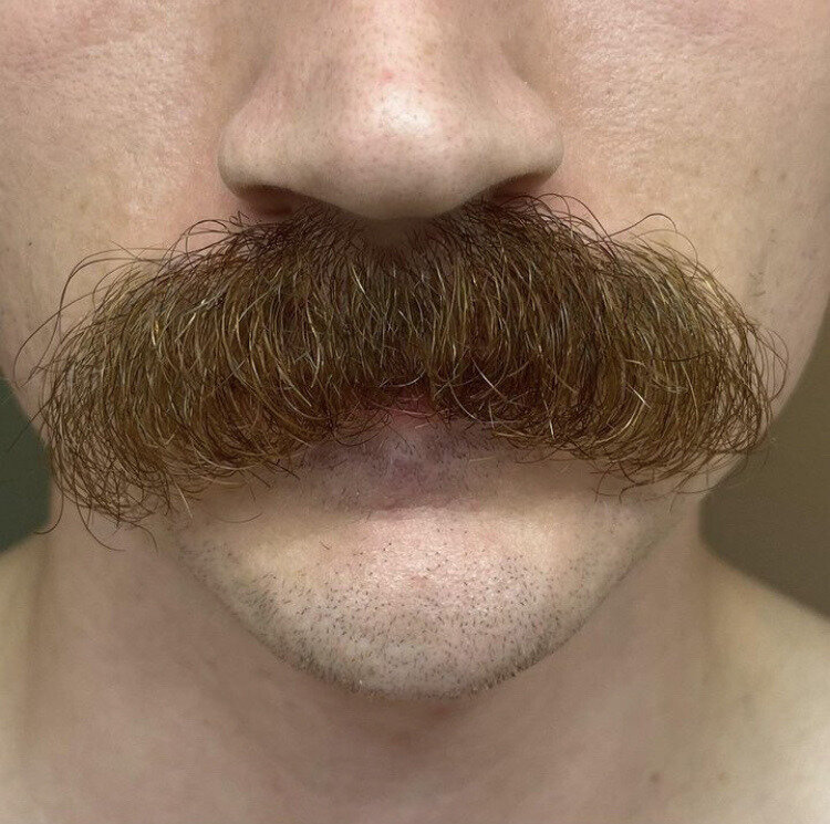 The Moustache