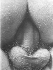 Bareback.jpg