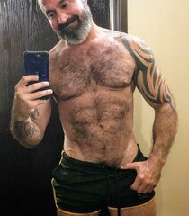 Daddy Bear Shorts.jpg