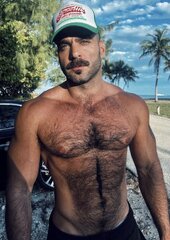 Palm tree Stud.jpg