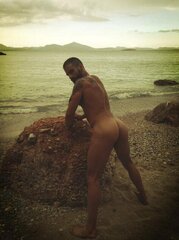 Seed Seeker by the Sea.jpg